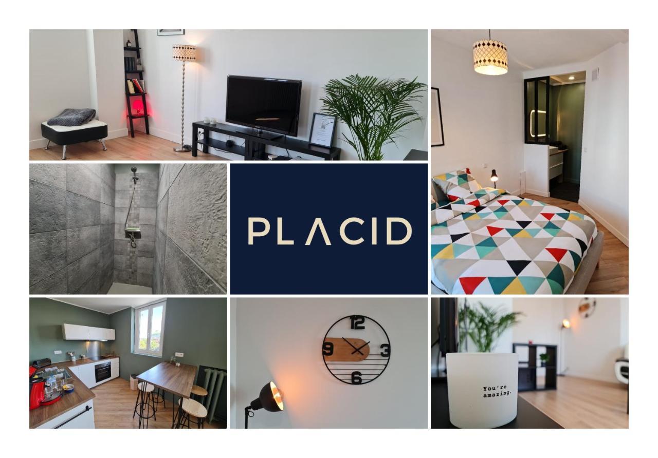 Le Scottmanhouse - Appartement Prive - Centre Ville - Gare - Wi-Fi Arras Dış mekan fotoğraf